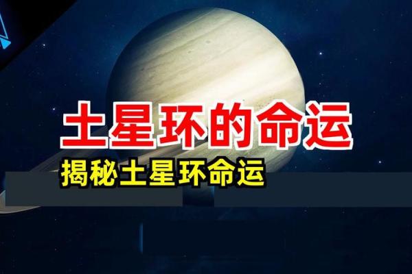 探秘1997年出生者的命运与性格特征