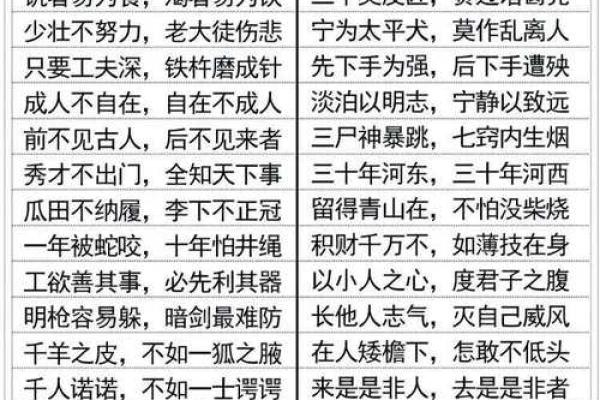 因果法则：探索“什么散什么命”的成语智慧