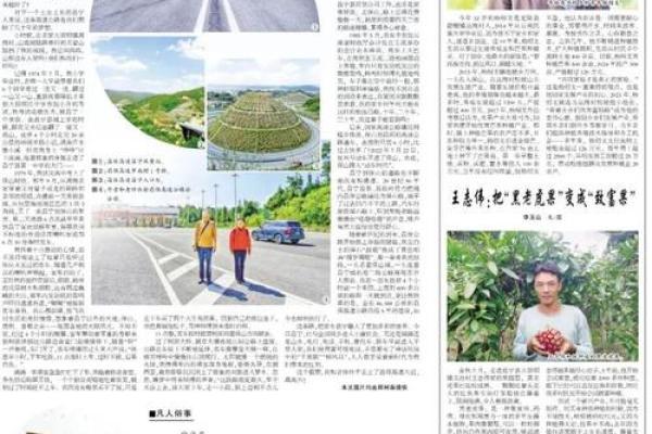 19951001:探寻属猴之命的神秘与魅力 19951001:探寻属猴之命的神秘与魅力