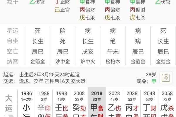 2023年兔年：解读兔年命理与生活智慧的美好交融