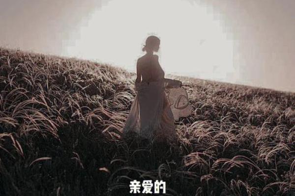 探究凶命论：那些因命局而受苦的女人的故事与启示