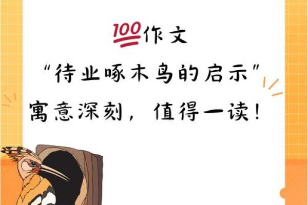 探秘命理：离命与西四命的深刻寓意与影响