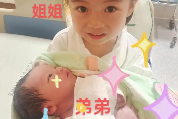 2006年出生的宝宝:命理解析与成长指南 2006年出生的宝宝:命理解析与成长指南