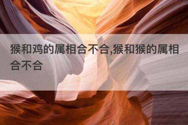 木猪命与合适伴侣:缘分与命理的完美结合 木猪命与合适伴侣:缘分与命理的完美结合