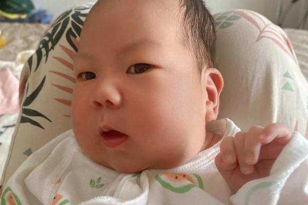 2006年出生的宝宝:命理解析与成长指南 2006年出生的宝宝:命理解析与成长指南