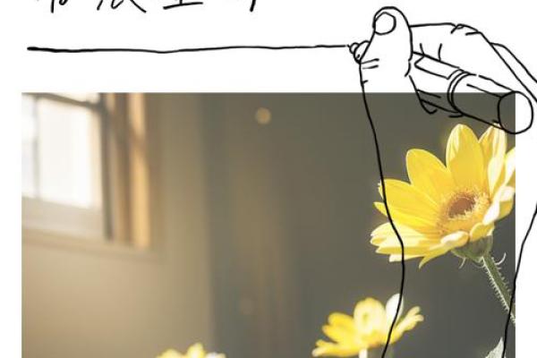 探寻今天生日的命运与生活智慧，解锁独特人生之路