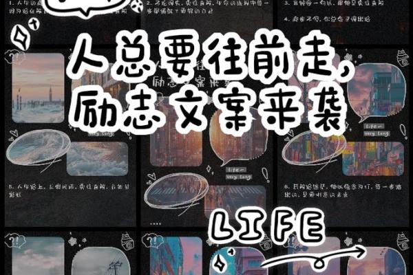 不怕周折，勇往直前的生命旅程