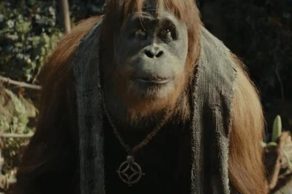 探索1993年的命运：个性、事业与生活的交织之旅