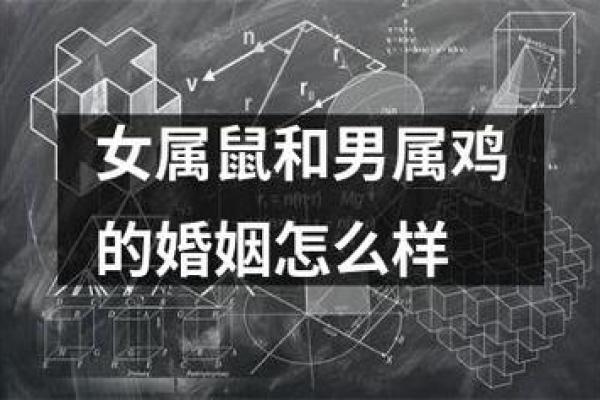 1981年属鼠人的命运解析：性格、事业与爱情的全方位分析