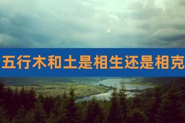 命土与相克：让我们解密命理中的土元素与相生相克的关系