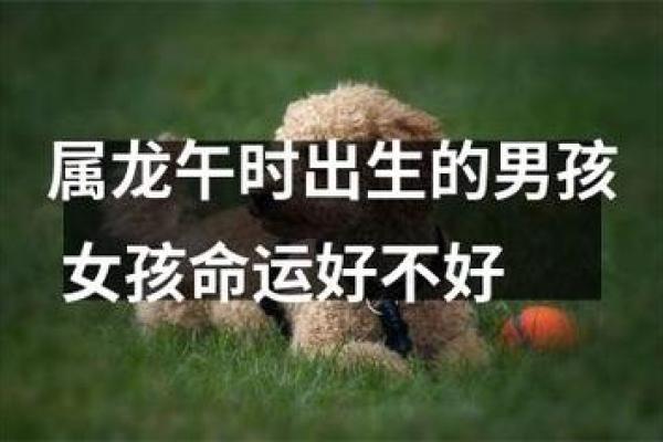 19980417：探索这一天出生者的命运与性格特征