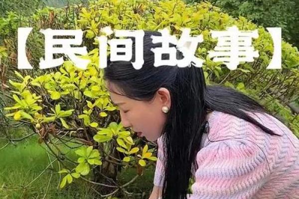 通过解读19901101出生命理，探索人生与命运的奥秘