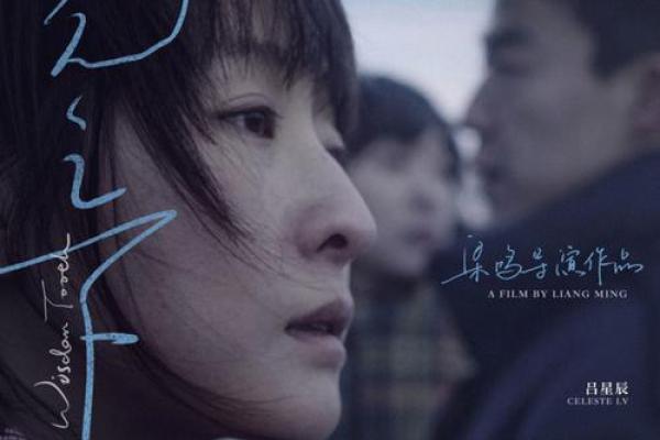 揭开19840304命运之谜：命理与人生的深度探索