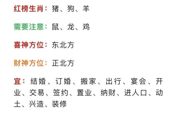 2023兔年运势解析：如何把握兔年的机遇与挑战？