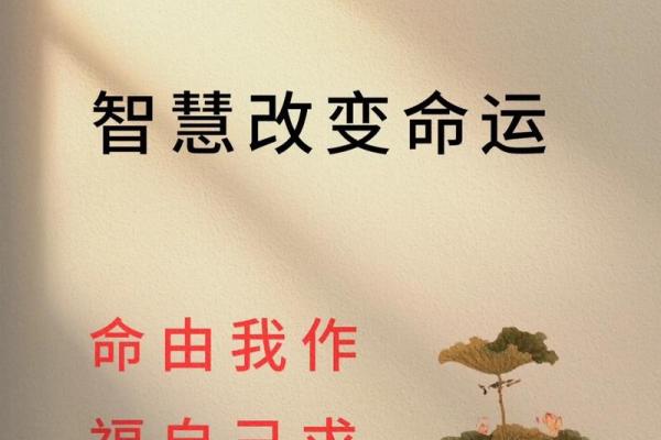 兔子1975年的命运与人生智慧探讨