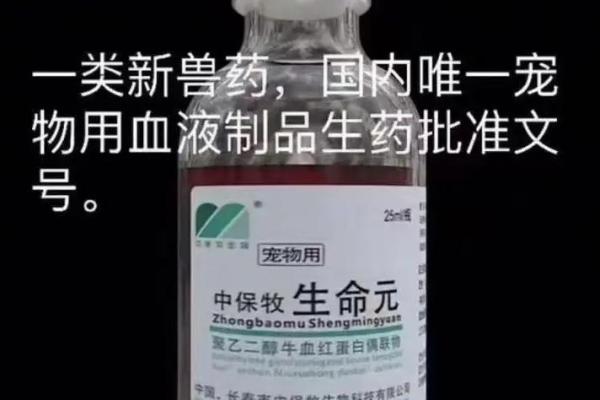 解密元命与原命:探索命理背后的生命奥义 解密元命与原命:探索命理背后的生命奥义