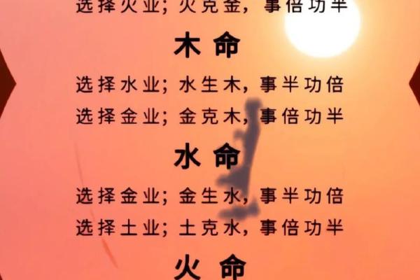 2023年木命与土命生肖解析：探索五行之美与命理奥秘