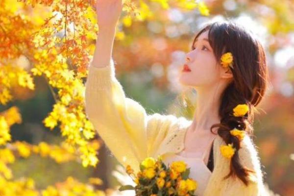 1995年出生的女属猪命运解析：性格、事业与爱情