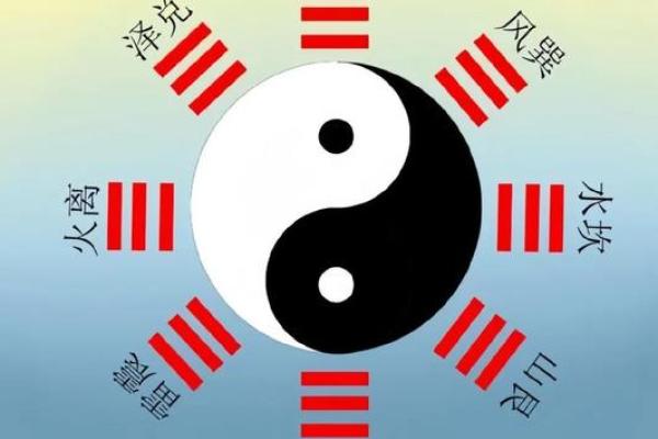 探索19951005命理：人生哲学与发展之道