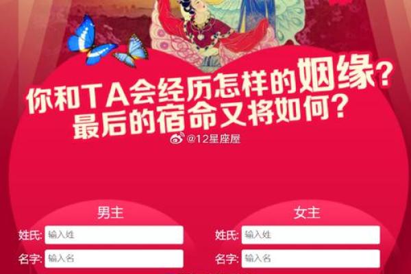 水命者的伴侣选择：寻找命中注定的另一半