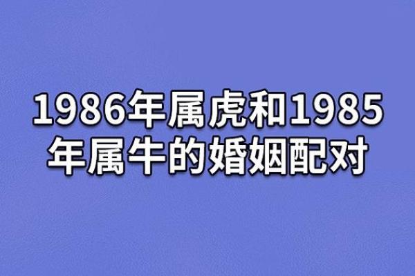 1985年出生的人，命运与性格的深刻探讨