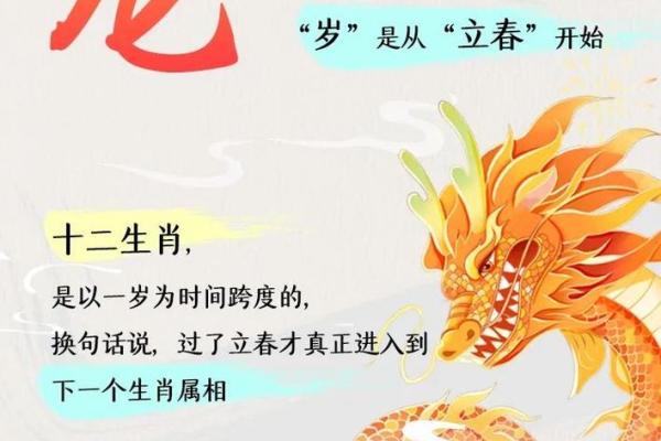 解密2000年出生龙命的神秘特性与人生运势