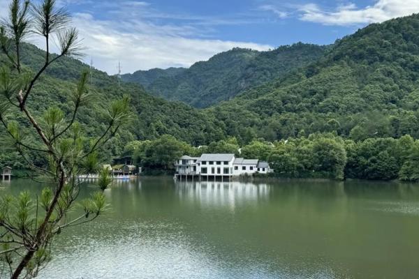属狗的1018年命运分析：理智与勇气的结合之道