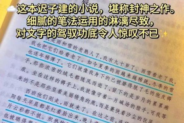 命运的河流：成语里的智慧与启示