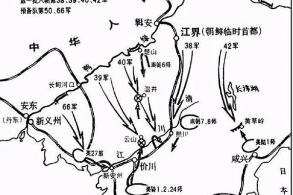 1950年出生者的命运解析与生活智慧
