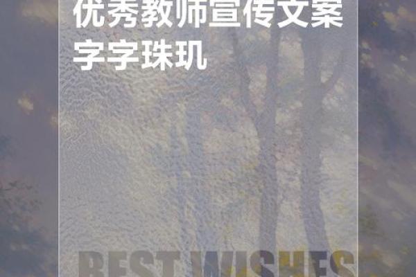 20001203的命运解读：沉静中绽放的力量与智慧
