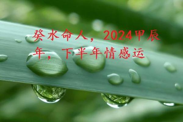 土命与水命的和谐共生关系探讨