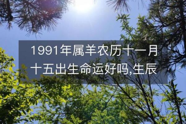 探索1966年属羊人的命运与性格特征