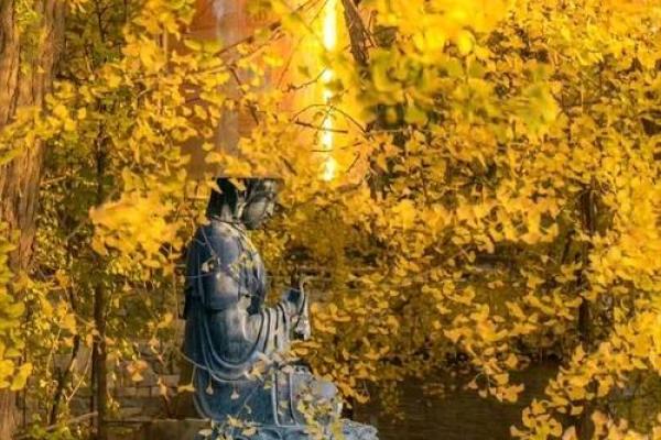 盖什么矛什么命：人生选择中的智慧与困惑