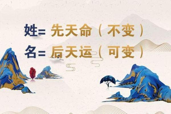 2028年运势解析：从五行看你的命运走向与发展机遇