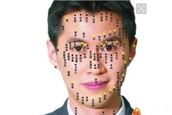 额头凸起的命运解析：从面相看人生机遇与挑战