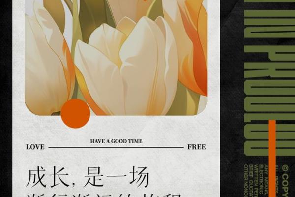 19880923的命运解析：解读这一特殊日子的个体人生旅程