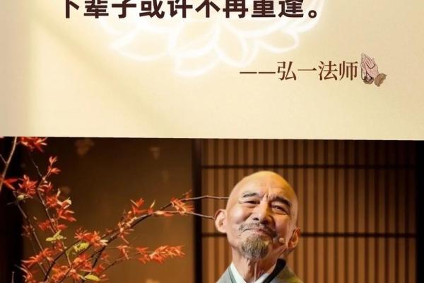 探秘19950704出生的命理解析与人生智慧