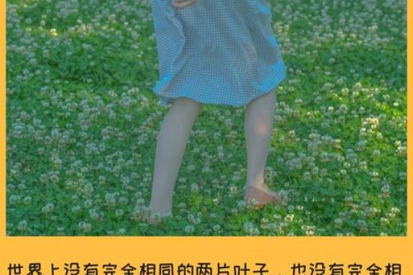 探秘1962年出生者的命运与性格：你身边的星辰秘话