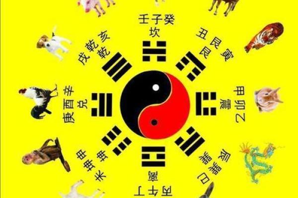 年命与卦命的深刻区别与联系：揭开命理的神秘面纱