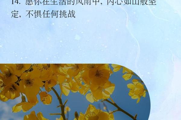 早晨出生女孩的命运解析：阳光照耀下的未来之路