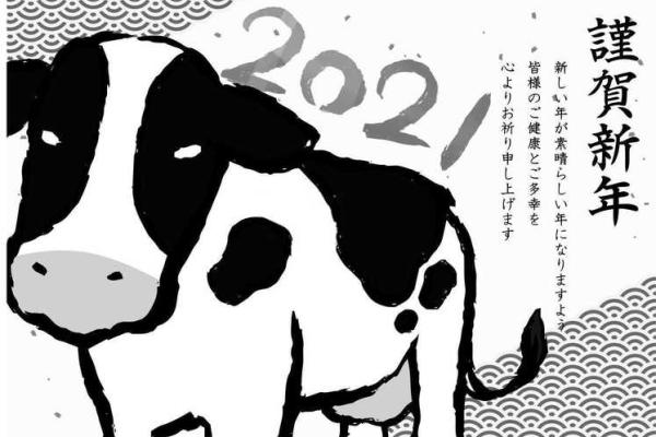 2019属猪正月命运解析：你不得不知的五行运势与未来发展方向