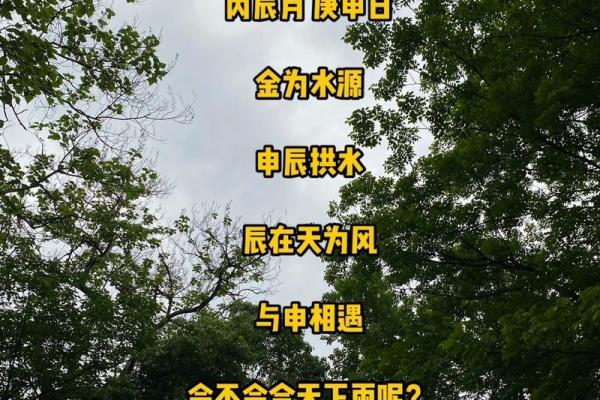 命理解析：女人的命格之谜与生活智慧
