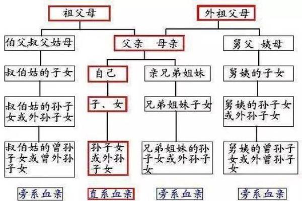 解析女命强男命的深意与生活启示