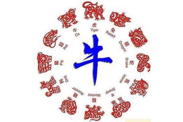 土牛命与水牛命的区别：解析命理中的牛年命格