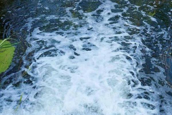 天河水命与金命的绝妙配合,探索财运的无限可能 天河水命与金命的绝妙配合,探索财运的无限可能