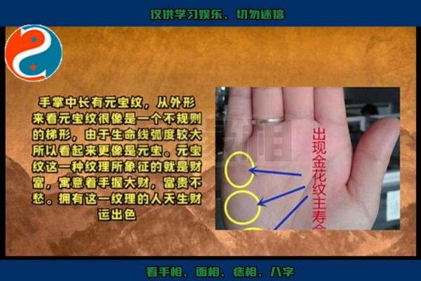 生什么命富贵由什么:解密命运与财富的关系 生什么命富贵由什么:解密命运与财富的关系