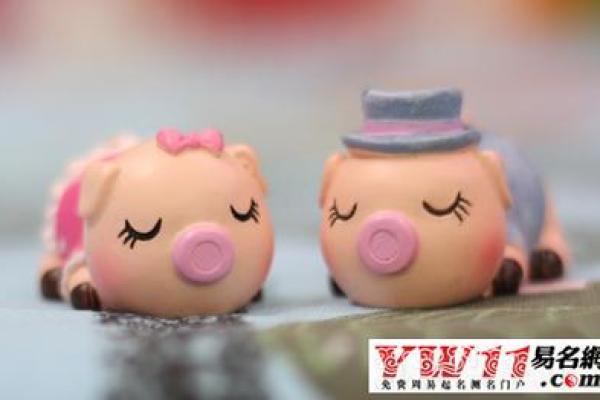 1996属猪人的命运解析:性格、事业与爱情的碰撞之旅 1996属猪人的命运解析:性格、事业与爱情的碰撞之旅