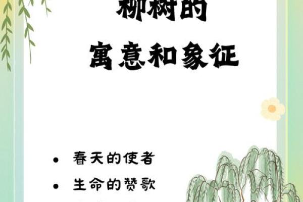 当你以命换命，这首歌带给我们的情感深度与思考