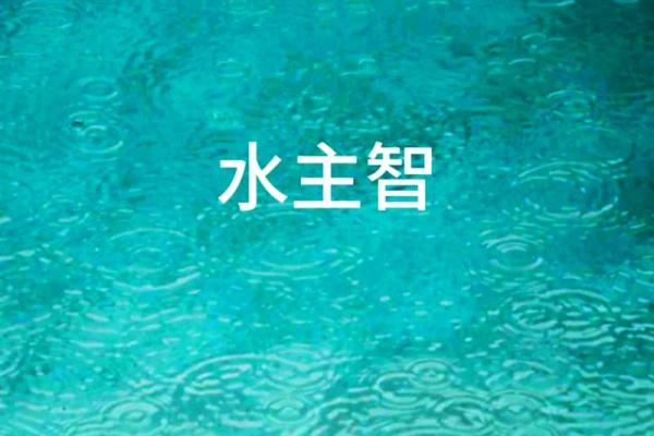 98年出生的你是水命还是别的命？深入分析五行与命理的奥秘