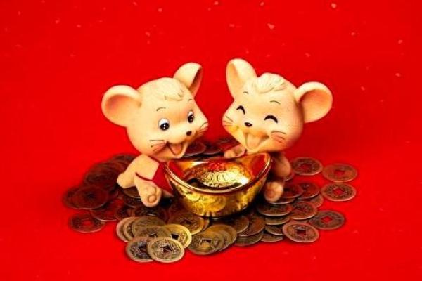 1992鼠年出生的人命运解析:智慧与机遇的结合 1992鼠年出生的人命运解析:智慧与机遇的结合